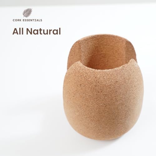 Natural Cork Oval Propagation Planter with Glass Vase - Image 3
