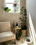 Hanging Disco Ball Planter 8" - with Acrylic Stand and Macrame Plant Hanger - Home Décor, Room Décor, Mirror Disco Planter, Disco Decor (10" with Base) - Image 6