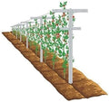 Grape Vine Trellis 7ft Tall 3pcs Set for Raspberry and Grape Plants, Heavy Duty, Easy to Install Vineyard Trellis, Fiberglass Rust-Proof, (84inch 3Trellises) by Mr+Garden