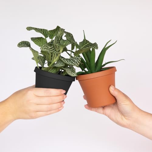 Bloem Terra 4" Plastic Planter, 0.25 Gallon, Black, 10-Pack - Image 2