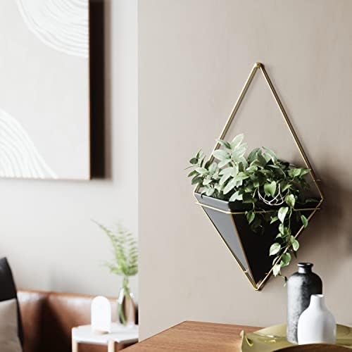 Umbra Trigg Wall Display, Large Geometric Planter Vessel, Black/Brass - Image 2