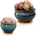 8 and 5.5 Inch Succulent Pot with Drainage and Saucer Glazed Terracotta Round Ceramic Succulent Planter Cactus Bonsai Plant Pot (White and Green) by SUMMERIMPRESSIONS
