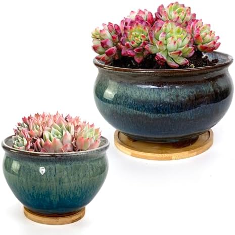 8 and 5.5 Inch Succulent Pot with Drainage and Saucer Glazed Terracotta Round Ceramic Succulent Planter Cactus Bonsai Plant Pot (White and Green) by SUMMERIMPRESSIONS