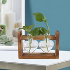Plant Terrarium with Wooden Stand,Heart Shaped Transparent Glass Vase Flower Pot Hydroponics Plant Propagation Station for Hydroponics Plants Home Office Decor (Retro Box + 2 - Image 2