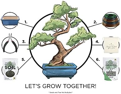 Leaves & Soul Bonsai Starter Kit for Bonsai Tree Complete Set for Beginners - Image 2
