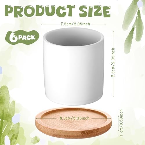 Cindeer 6 Pack Small Succulent Pots 3 Inch Plant Pots with Drainage, White - Image 2