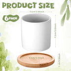 Cindeer 6 Pack Small Succulent Pots 3 Inch Plant Pots with Drainage, White - Image 2
