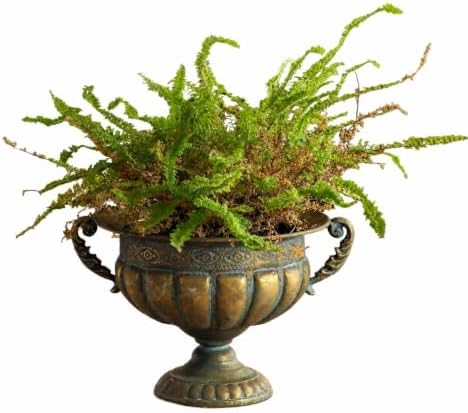 Vintage Gold Urn Planter, Embossed Shabby Chic Iron Flower Pot, 13.6"x8.5" by NOONEAU