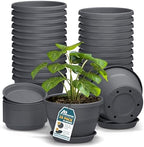 10-Inch Whiskey Barrel Planters Outdoor Pack of 25 - Durable Plastic Plant Pots for Indoor & Outdoor Use with Drainage & Saucer, Lightweight Rustic Barrel Planters for Flowers, Herbs & Small Plants by LIFEMASTER