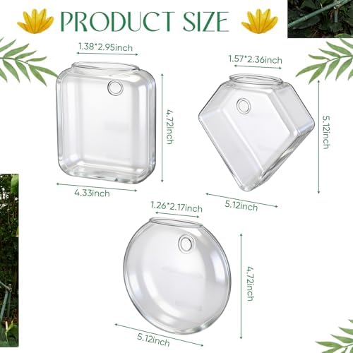 LemonRoad 6 Pcs Wall Hanging Glass Planters, Propagation Station Vases - Image 2