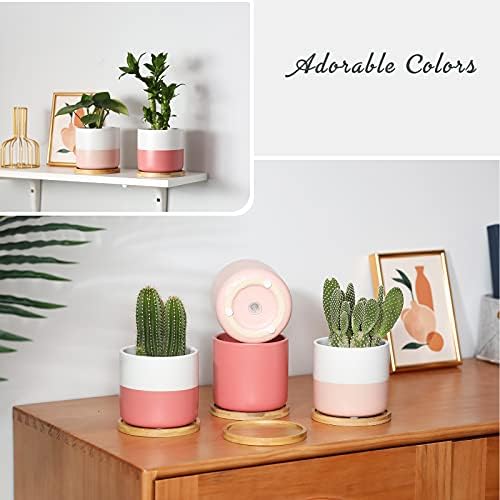 4 Inch Ceramic Plant Pots with Drainage Holes, Small Contrast Style Flower Planter Pot with Tray for Indoor Plants, Succulent, Snake Plants, Cactus & Herbs, Set of 4 - Image 5