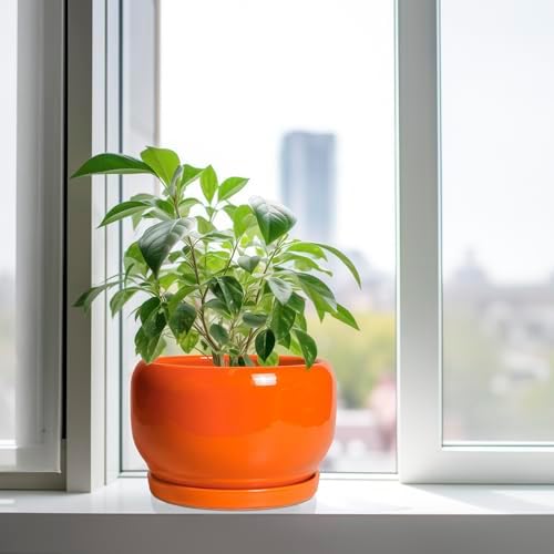 SQOWL Ceramic Planter - 10 Inch Plant Pot with Drainage Hole and Saucer, Round Modern Planter for Indoor Outdoor Plants, Decorative Large Flower Pot, House Decor, Gifts for Women Men, Orange - Image 4