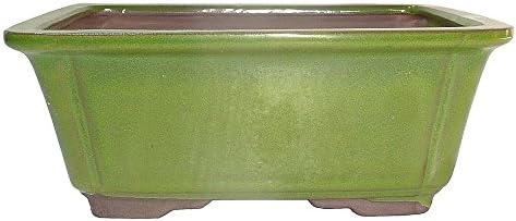 Brussel's Bonsai - Medium Ceramic Bonsai Pot, Rectangle Glazed Planter by BrusselsBonsai