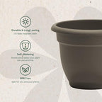 Bloem Ariana 8" Plastic Self-Watering Planter, Peppercorn, 4-Pack - Image 4