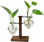 XXXFLOWER Plant Terrarium with Wooden Stand Air Planter Bulb Glass Vase Metal Swivel Holder Retro Tabletop for Hydroponics Home Garden Office Decoration - Image 4