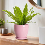 6 Inch Ceraimc Plant Pots, Ceraimc Planters for Indoor Plant, Pink - Image 2