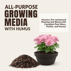 Old Potters Germination Mix with Peat Moss, Fine Perlite & Vermiculite - Perfect for Seed Germination, Plugs, and Cutting Propagation - Balanced pH, Enhanced Drainage and Aeration, 24 Quarts. - Image 2