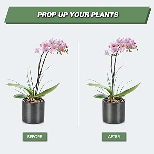 20 Pack 24 Inch Plant Support Stakes for Outdoor Plants and Indoor Flowers - Image 2