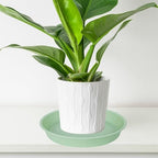 4 Pack of 14 inch Plant Saucers Bird Bath Bow Round, Plastic Plant Saucer Tray for Pots, White Planters for Indoor Plants, Plant Trays for Planter 12-15" (14", Light Green) - Image 5