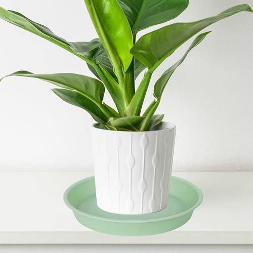 4 Pack of 14 inch Plant Saucers Bird Bath Bow Round, Plastic Plant Saucer Tray for Pots, White Planters for Indoor Plants, Plant Trays for Planter 12-15" (14", Light Green) - Image 5