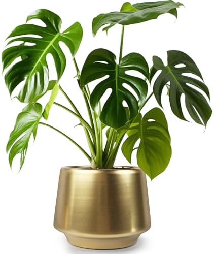 Gold Indoor Plant Pot 7 Inch Large Ceramic Planter With Drainage Hole - Modern Brass Flower Pot Centerpiece Vase - Decorative Greenery Potted for Indoor Plants - Image 3