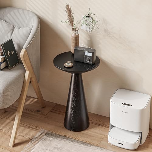COZAYH Farmhouse Pedestal Small End Table Round Martini Table, Black - Image 6