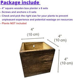 LaLaGreen Planter Boxes for Indoor Plant (4x4, 6 Pack) Wooden Wall Planters - Image 2