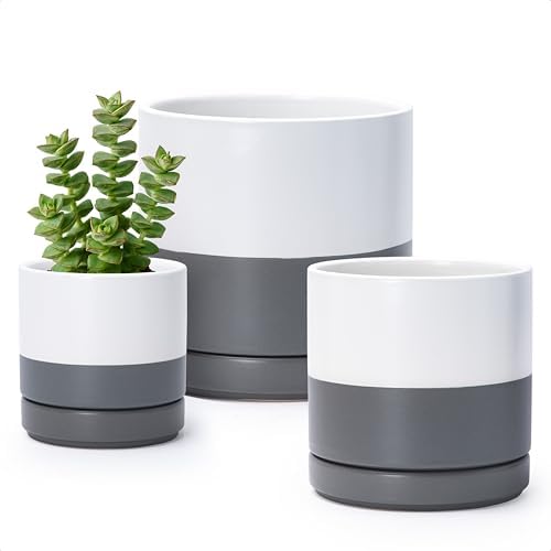 D'vine Dev 3-Pack Ceramic Pots with Saucers, 4/6/8 in, White/Grey, 94-T-M-6 by DvineDevPlanterPotsandStand