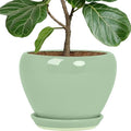 Deep Dream 10 Inch Plant Pot- Ceramic Planter Pot Round Plant Pots for Indoor Plants Outdoor Large Flower Pot with Drainage Holes & Trays, Mint Green by DeepDream