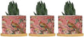 Blush Chinoiserie Bird Planter Ceramic Hydrangea Peacock in Coral Round Flower Pot with Drainage Holes and Bamboo Tray Pot for Home Office Decoration by BRUYU5SE
