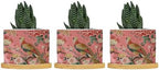 Blush Chinoiserie Bird Planter Ceramic Hydrangea Peacock in Coral Round Flower Pot with Drainage Holes and Bamboo Tray Pot for Home Office Decoration by BRUYU5SE