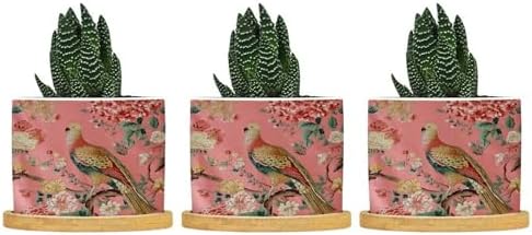 Blush Chinoiserie Bird Planter Ceramic Hydrangea Peacock in Coral Round Flower Pot with Drainage Holes and Bamboo Tray Pot for Home Office Decoration by BRUYU5SE