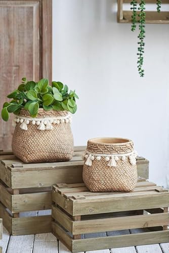Set of 2 Brown Cement Planters with Woven Tassel Accent, 6.5 Inch by Noeko