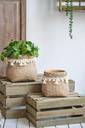 Set of 2 Brown Cement Planters with Woven Tassel Accent, 6.5 Inch by Noeko