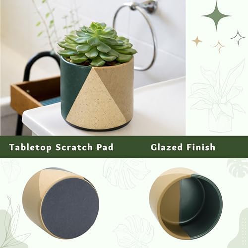 D'vine Dev 2-Pack Cachepot with Clear Pot, 4.5 in, Desert Forest, 93-V-B-1 - Image 5