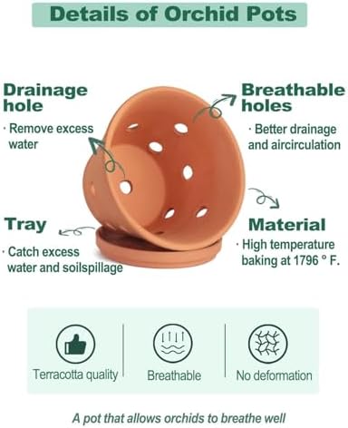 vensovo 4 Inch Terracotta Orchid Pots with Holes and Saucers - 6 Pack Clay Orchid Planter Pots for Repotting, Breathable Flower Pots for Indoor Outdoor, Promotes Air Circulation & Healthy Roots - Image 3