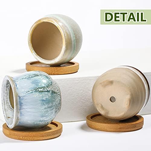 Remerry 12 Pcs Ceramic Succulent Pots 2.5 Inch with Drainage Bamboo Tray - Image 3