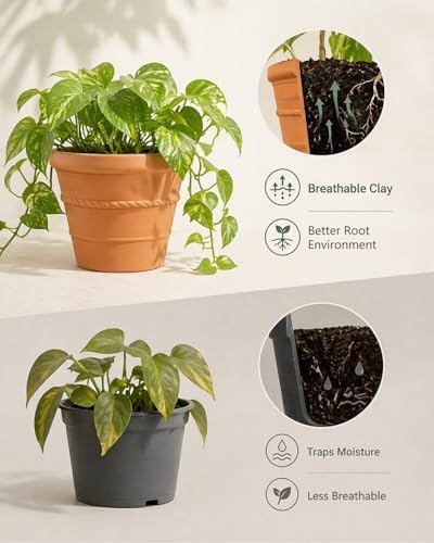 2 Pack 8 Inch Terracotta Pots for Plants, Rope Pattern with Drainage Hole - Image 5