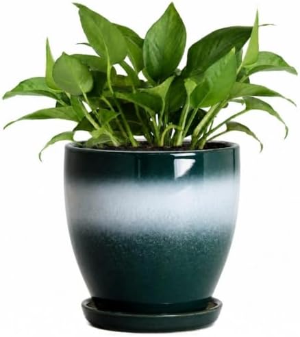 Ceraimc 6 Inch Planters, Ceraimc Pots for Plants, Green-White by EPFamily