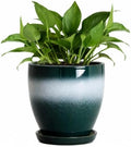 Ceraimc 6 Inch Planters, Ceraimc Pots for Plants, Green-White by EPFamily
