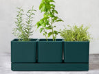 D'vine Dev Plastic Herb Garden Planter Set, Green, 76-V-C-1 - Image 2