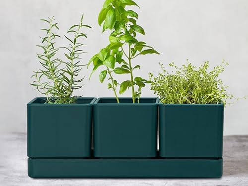 D'vine Dev Plastic Herb Garden Planter Set, Green, 76-V-C-1 - Image 2