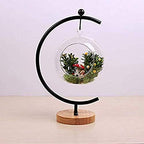 Ornament Display Stand Iron Hanging Pot Hook Stand Rack Holder for Hanging Glass Globe Terrarium Witch Ball Home Wedding Decoration Creative Gift Wood Base (Big G-Shaped Wood Base 3 Pack, Black) - Image 5