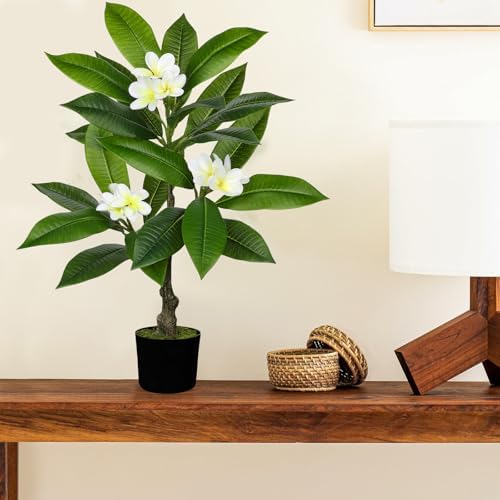 Briful Artificial Plants Indoor 26.77'' Fake Tropical Plumeria Flowers Tree Plants in Black Pot Hawaiian White Plumeria Rubra Faux Frangipani Tree Floor Plant for Home Office Wedding Decor - Image 6