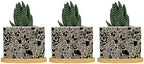 Leopard Black and Light Brown Dot Ceramic Planters African Tribal Animal Print Planters for Indoor Plants with Drainage Holes and Saucers Pot for Outdoor Garden Home Plant by BRUYU5SE