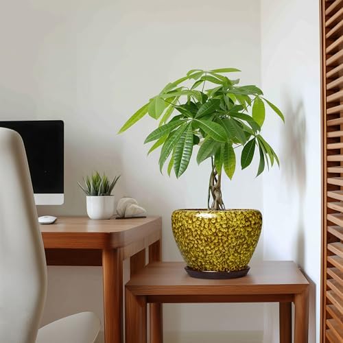 8 Inch Flower Pot, Ceramic Planters with Drainage, Yellow Leopard - Image 5