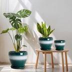 Ceramic 10/8/6 Inch Flower Pots, Ceramic Planter, Green-White - Image 2