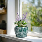 SQOWL Ceramic Pot for Plants - 6 Inch Ceramic Planter with Drainage Hole and Saucer, Round Flower Pot for Indoor Outdoor, Decorative Small Planter, Room Home Decor, Plant Lover Gifts, Green - Image 2