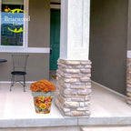 Briarwood Lane Planter 11.75 x 11 x 11 Autumn Bouquet Medium - Image 3