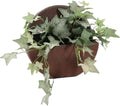 Sunnydaze 12-Inch Round Polyresin Wall Planter - Dark Brown by SunnydazeDecor